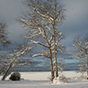 Ferienhaus Boddenstrand