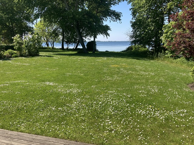 Ferienhaus Boddenstrand