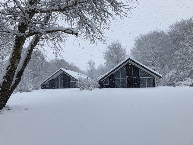 Ferienhaus Boddenstrand