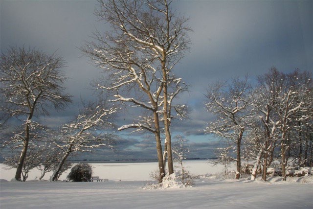Ferienhaus Boddenstrand